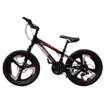 Bicicleta-CARAIMAN