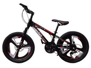 Bicicleta-CARAIMAN