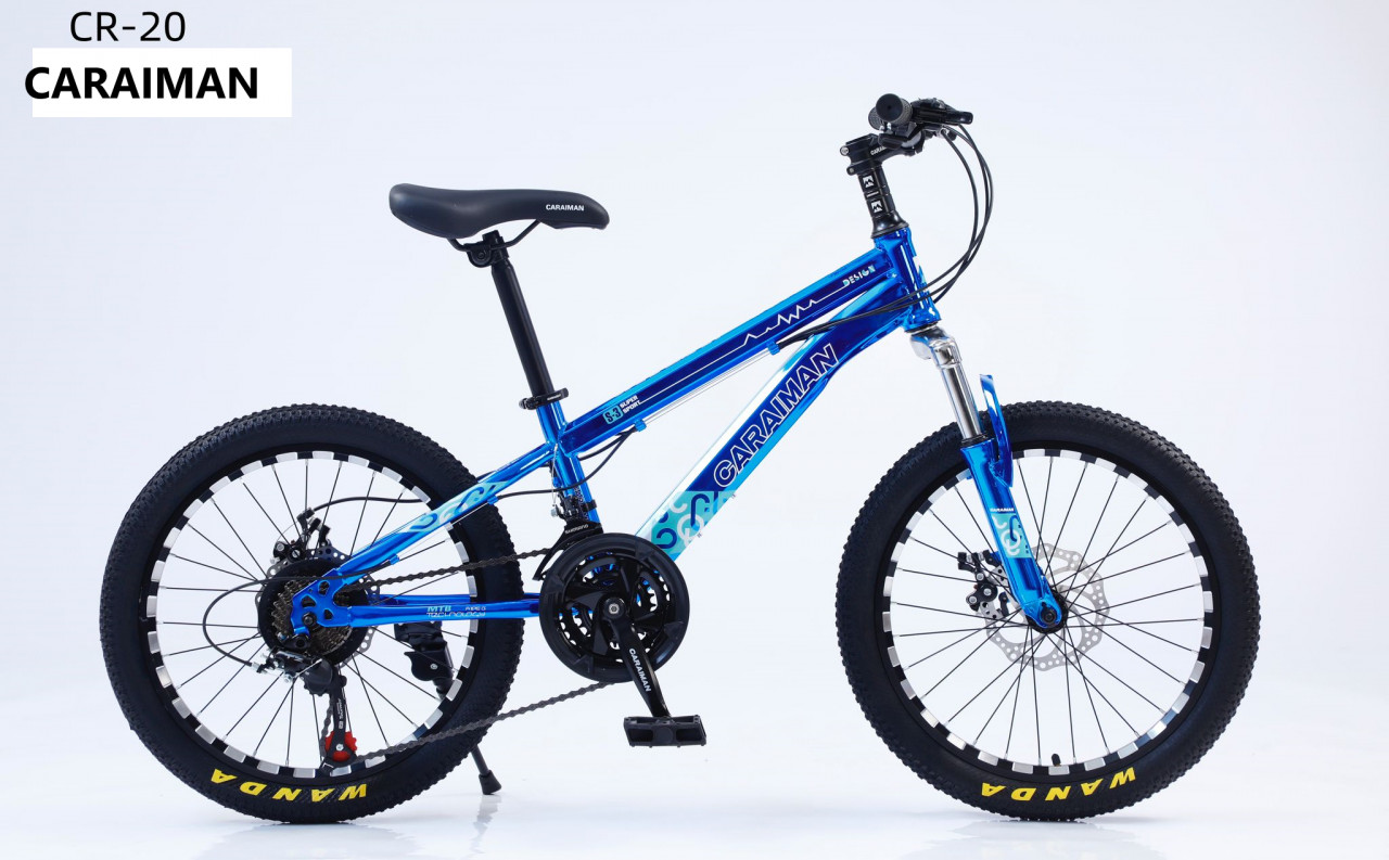 bicicleta-caraiman-2023-culoare-albastra-cod-cr-20-20inch-06300-cadru8455.jpg